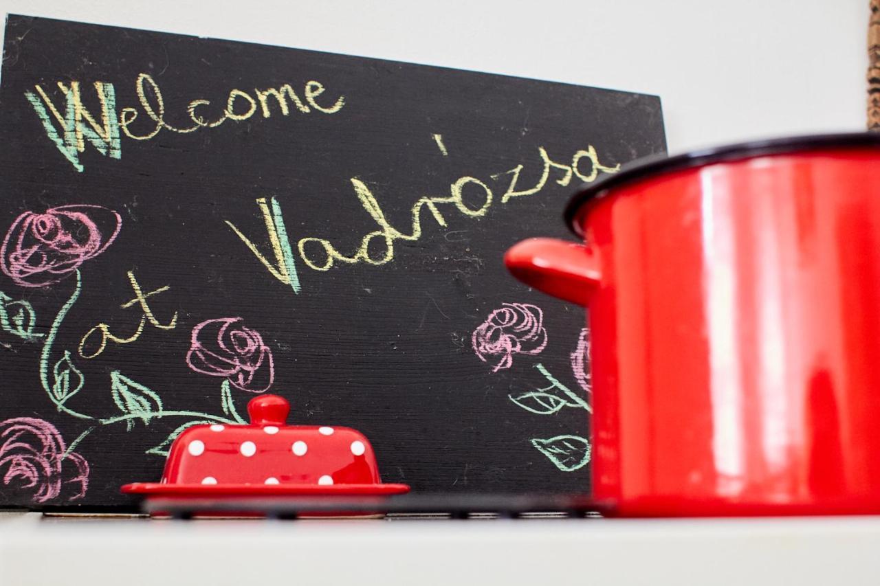 Vadrozsa Vendeghaz Racalmas 게스트하우스 외부 사진